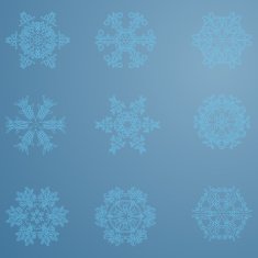 Snowflake icon Winter theme snowflakes of different shapes N24