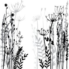 Silhouettes of flowers and grass N50