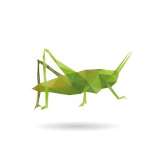 Grasshopper abstract isolated on a white backgrounds vector illustration
