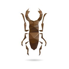 Beetle abstract isolated on a white backgrounds vector illustration N2