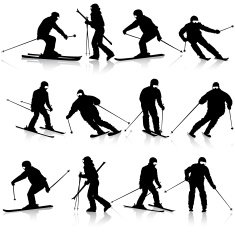 Mountain skier N12
