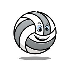 Cartoon Volleyball Ball N7