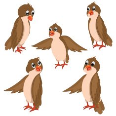 Brown Birds Vector Illustrations Set N2