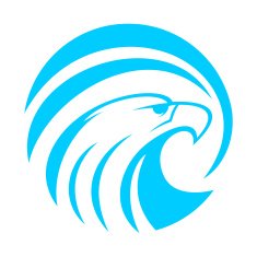 Eagle icon N10