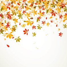 vector autumn background N9