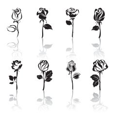 Icon set of Roses with reflections N2
