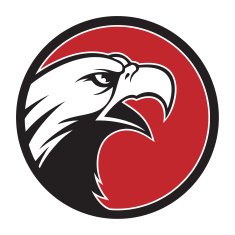 Eagle icon N11