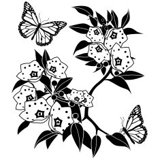 mountain laurel and monarch butterflies