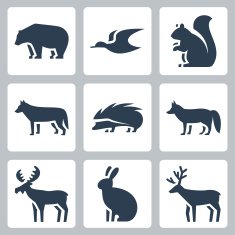 Vector forest animals icons set