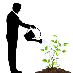 Watering the plant N2