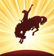 Rodeo Rider Silhouette