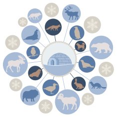 Arctic Animals Montage