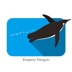 Emperor Penguin Penguin seed seriers N13