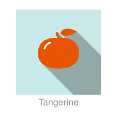Tangerine food and drink flat icon series