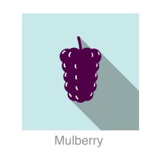 Mulberry food and drink flat icon series