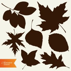 Vector set of autumn leaves silhouettes