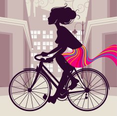 Bike N15