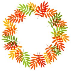 Autumn leaves for Your design