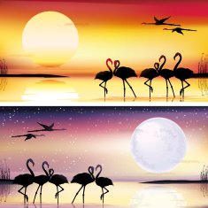 Flamingos silhouettes illustrations set