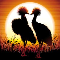 Two Crowned Cranes silhouettes safari in grass against hot sun