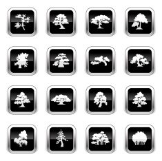 Supergloss Black Icons - Trees Species