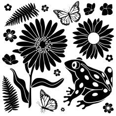 Spring frog