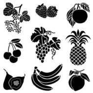 Fruit icons N6