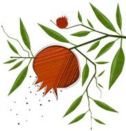 Pomegranate Fruit On Branches