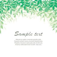 green leaves background N11