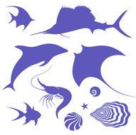 sea life N24