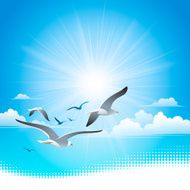Summer background N57