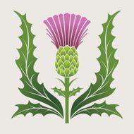 Simple Stencil Style Scottish Thistle In Pink Purple And Green N2