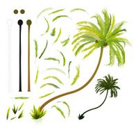 All Palm Trees in One!