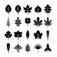 Set icons of leaf N2
