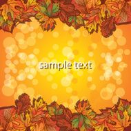 autumn leaf background N39