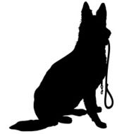 Shepherd with Leash