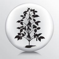 Round Icon with Black Soybean Plant Growing Silhouette