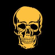 skull illustration N14