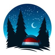 Tent Surrounded by Pine Trees at Night