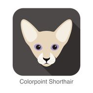 Colorpoint Shorthair Cat Cat breed face cartoon flat icon design