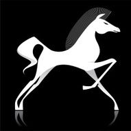 Little White Horse