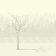 tree and forest N2