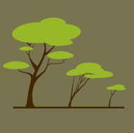 trees N38