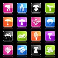 Ubergloss Icons - Edible Mushrooms