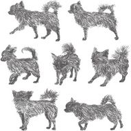 Seven poses of chihuahua