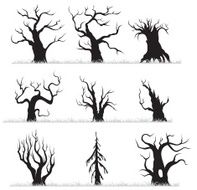 Dead forest