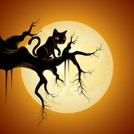 Black Cat N37