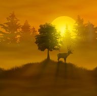 Deer in the forest N2
