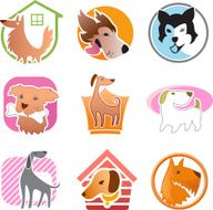 dog set N3