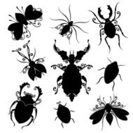 Vector Set of Insects N2